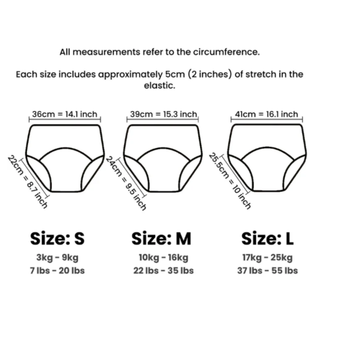 Potty Training Underwear