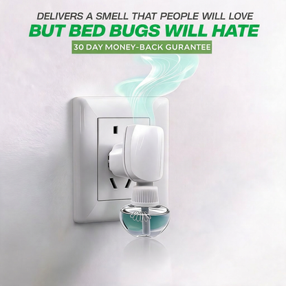 Bed Bug