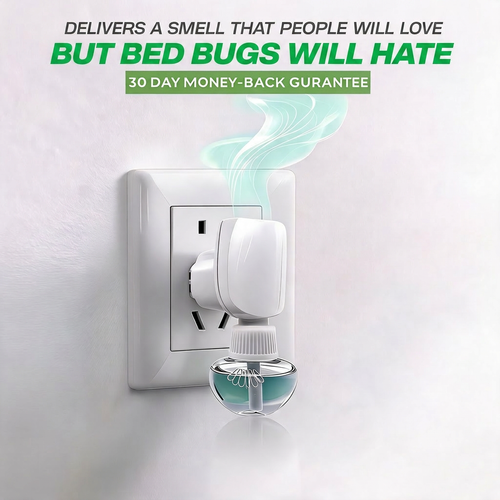 Bed Bug