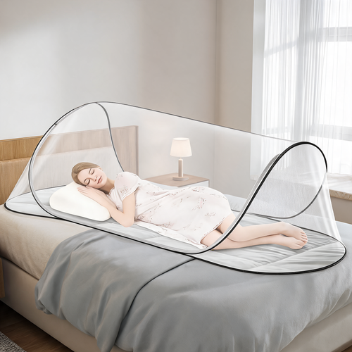 Bed Bug Cover
